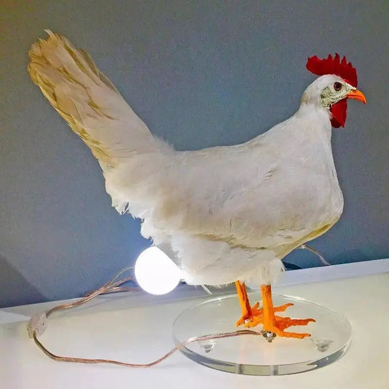 Cocori – Lampe Œuf de Poule LED Décorative - Rynova