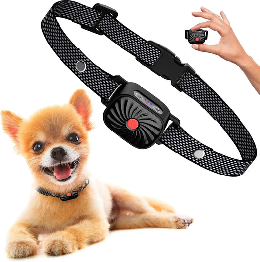 ChienTranquille - Collier Anti-Aboiement pour Petits Chiens - Rynova