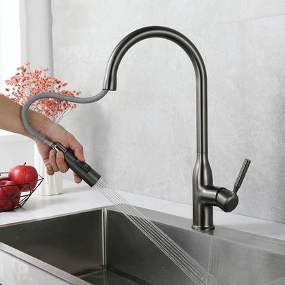 AquaFlexi – Robinet de Cuisine avec Douchette Extractible en Acier Inoxydable - Rynova